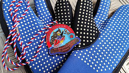 Donauschwimmen 2026 Medaille